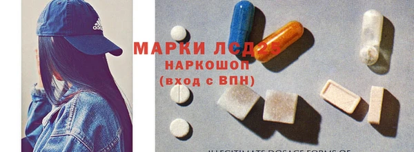 PSILOCYBIN Алзамай