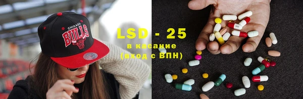 PSILOCYBIN Алзамай