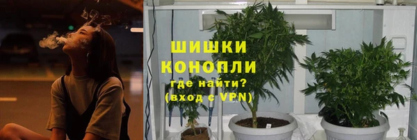 PSILOCYBIN Алзамай