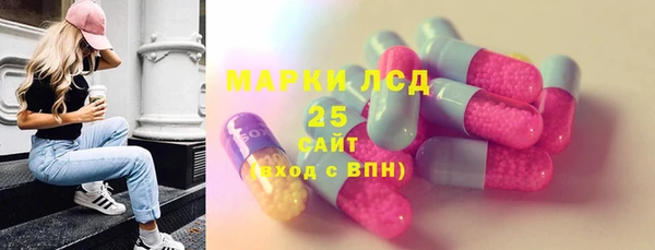 PSILOCYBIN Алзамай