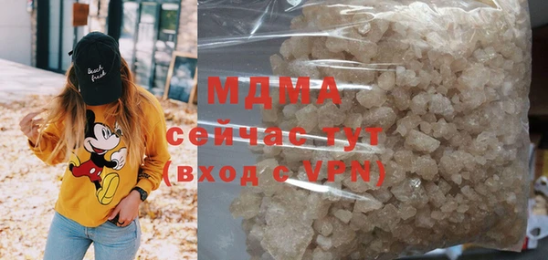 PSILOCYBIN Алзамай