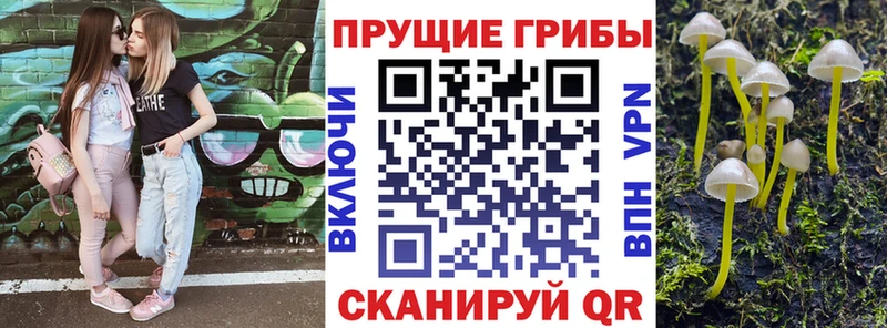 Псилоцибиновые грибы ЛСД  blacksprut как войти  Лобня 